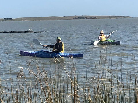 Hydeaway Bay - Own Private Bay + Kayaks - Travel Agents 30