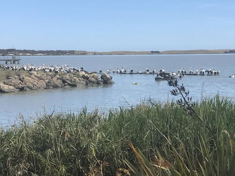 Hydeaway Bay - Own Private Bay + Kayaks - Travel Agents 34