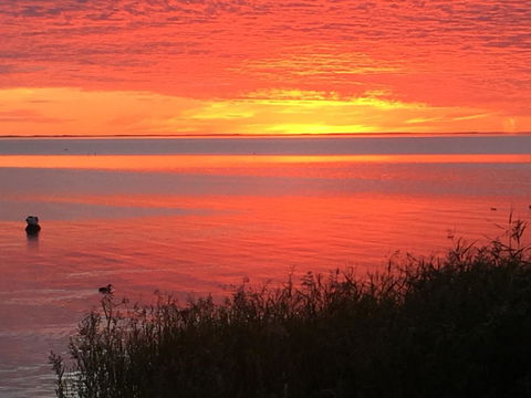 Hydeaway Bay - Own Private Bay + Kayaks - Travel Agents 37