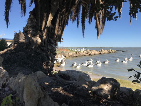 Hydeaway Bay - Own Private Bay + Kayaks - Travel Agents 17