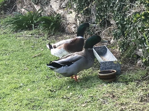 Hydeaway Bay - Own Private Bay + Kayaks - Travel Agents 19