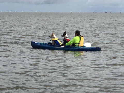 Hydeaway Bay - Own Private Bay + Kayaks - Travel Agents 31