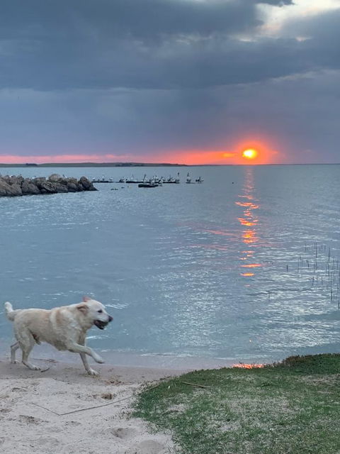 Hydeaway Bay - Own Private Bay + Kayaks - Travel Agents 0