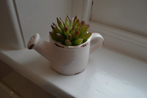 Two Cow Cottage Bed & Breakfast - Travel Agents 21