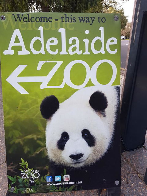 Adelaide Style Accommodation-Close To City-North Adelaide-3 Bdrm- FREE Parking - Tourism Guide 35