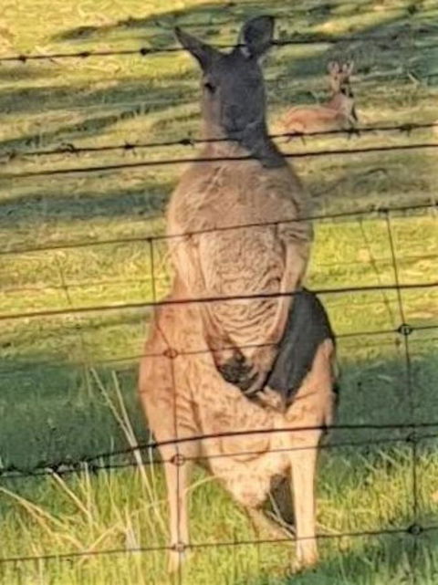 Adelaide Style Accommodation-Close To City-North Adelaide-3 Bdrm- FREE Parking - Tourism Guide 25