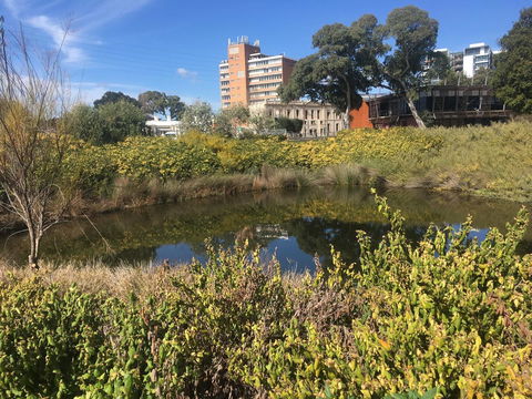 Adelaide Style Accommodation-Close To City-North Adelaide-3 Bdrm- FREE Parking - Tourism Guide 40