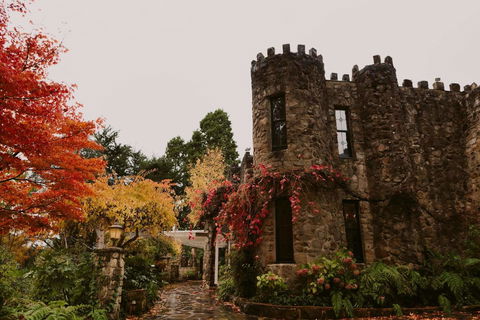 The Manor Basket Range - Tourism Guide 15