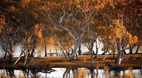 Riverview Rise Retreats - Travel Search 4