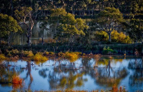 Riverview Rise Retreats - Travel Search 7