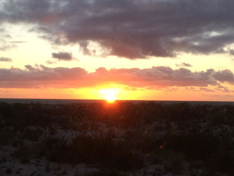 Adelaide - Semaphore Beach Front - Tourism Guide 36