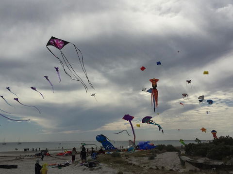 Semaphore Splash Apartments - Tourism Guide 18