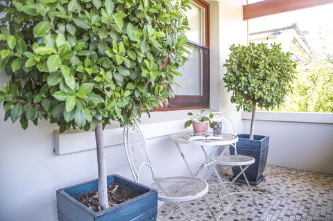 Mataro Cottage - Travel Search 2