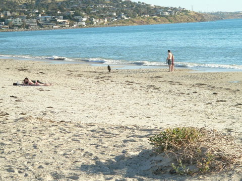 Brighton Beach House - Tourism Guide 12