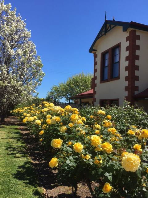 Wine And Roses Bed And Breakfast - Travel Search 5