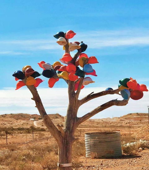Aussie Opal Diggers Outback Retreat-Undergound - Tourism Guide 29