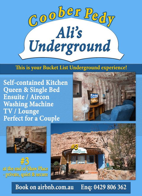 Ali\'s Underground Studio - Travel Agents 12