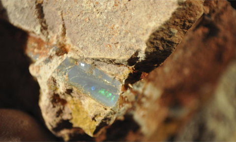 Ali\'s Underground Studio - Travel Agents 21