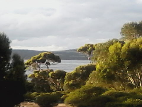 Mallee Bark Retreat - Travel Search 11