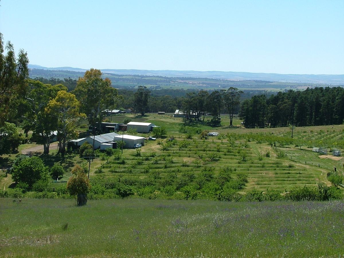 Wirrabara SA Travel Search