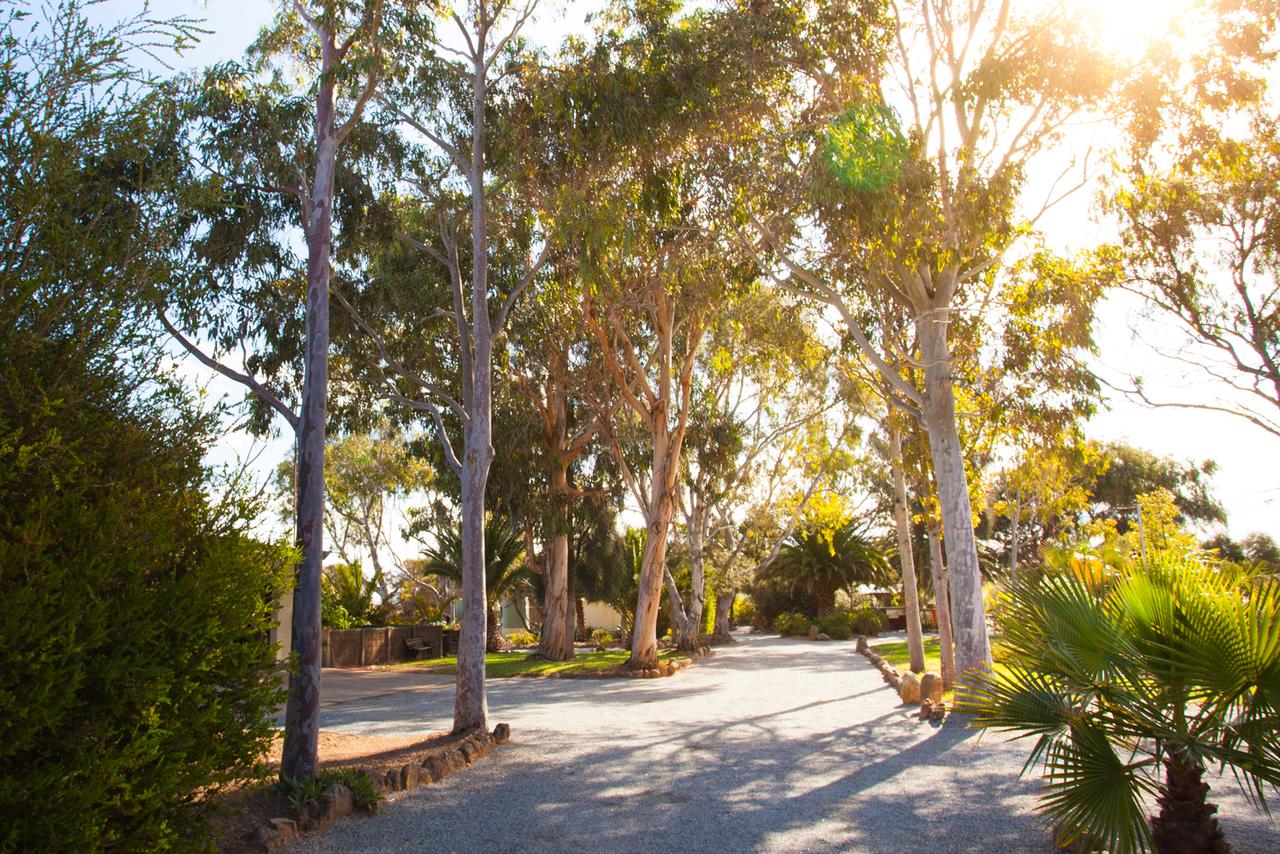Tumby Bay SA Travel Search