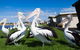 Modra\'s Apartments - thumb 13