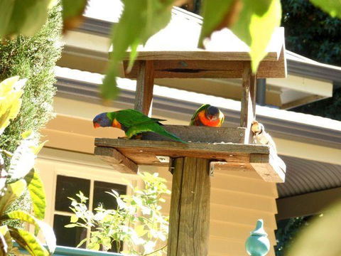 Aldgate Valley Bed And Breakfast - Cruises Travel 42
