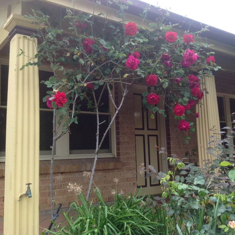 Oats Cottage - Cruises Travel 3