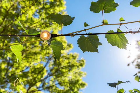Adelaide Hills Retreats - Travel Agents 32
