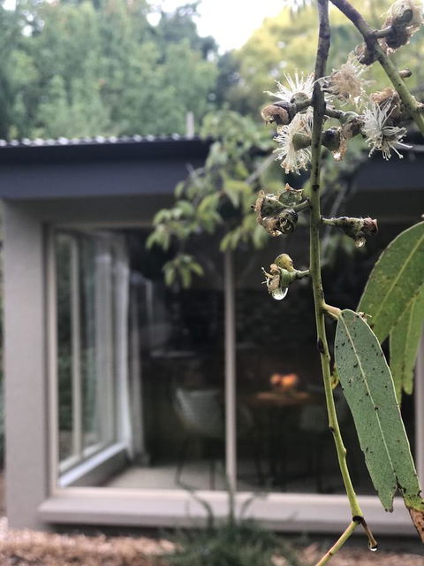 Adelaide Hills Retreats - Travel Agents 9