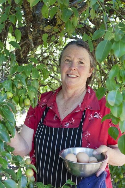 The Fruiterer's - Travel Search 6