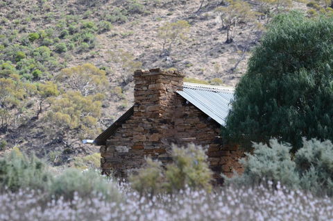 Burra Motor Inn - Travel Search 36