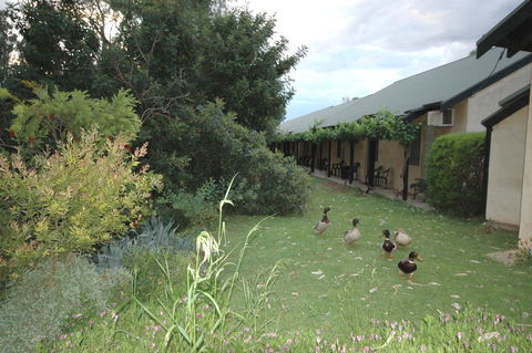 Burra Motor Inn - Travel Search 24