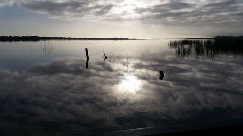 PS Federal Retreat Paddle Steamer Goolwa - Travel Search 16