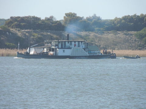 PS Federal Retreat Paddle Steamer Goolwa - Travel Search 10