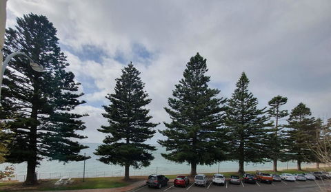 Pier Hotel Port Lincoln - Travel Search 12