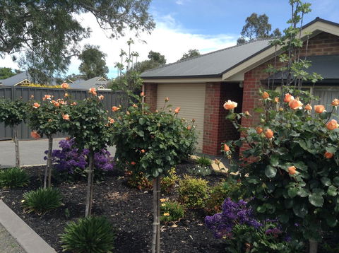 C And C Tanunda - Travel Search 1
