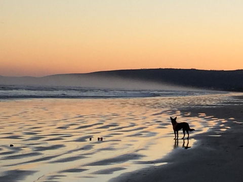 Goolwa Marinerâ€™s Cottage - Free Wifi And Pet Friendly - Centrally Located In Historic Region - Travel Search 35