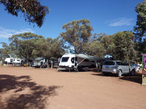 Wudinna Gawler Ranges Motel And Caravan Park - Cruises Travel 17