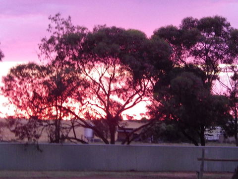 Wudinna Gawler Ranges Motel And Caravan Park - Cruises Travel 11