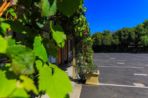 Country Roads Motor Inn Naracoorte - Travel Search 16