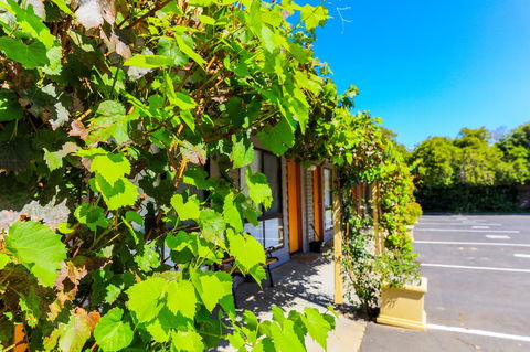 Country Roads Motor Inn Naracoorte - Travel Search 18