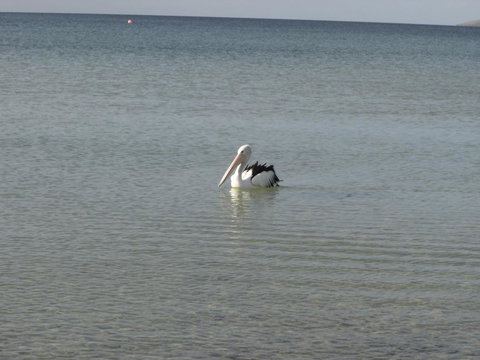 Lantauanan - The Lookout - Travel Search 2