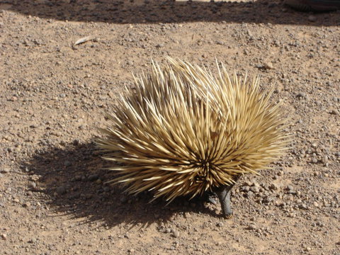 Lantauanan - The Lookout - Travel Search 1