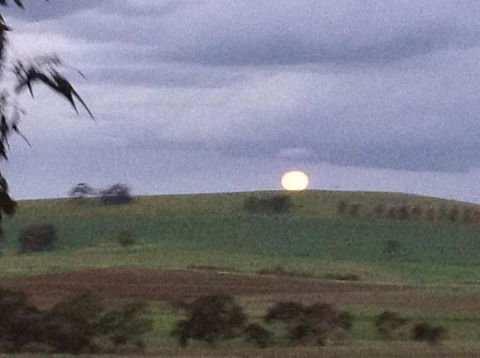 Clare Valley Cabins - Travel Search 41