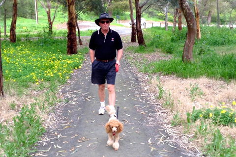 Clare Valley Cabins - Travel Search 34
