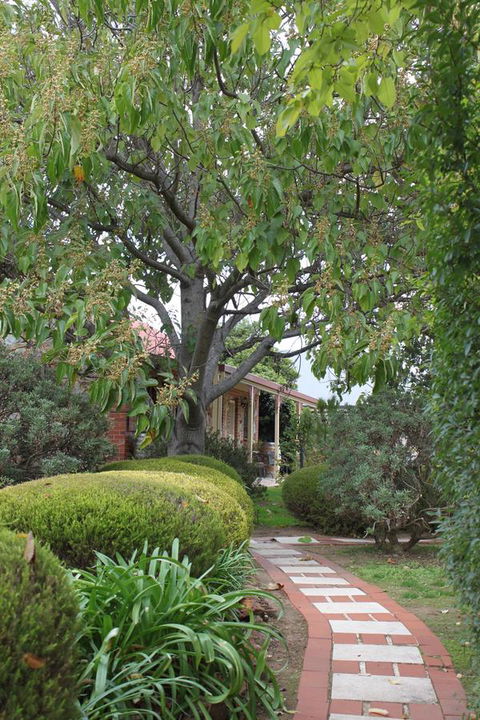 Langmeil Cottages - Travel Search 2