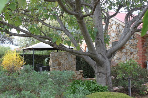Langmeil Cottages - Travel Search 3