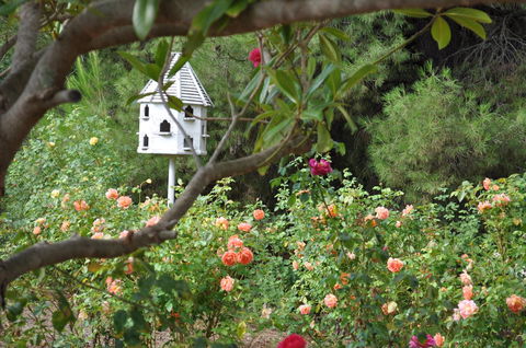The Lyndoch Motel - Cruises Travel 2
