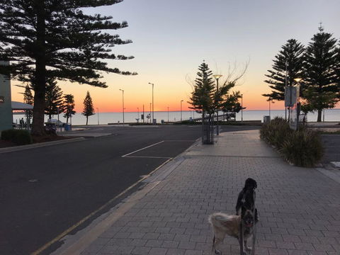 BIG4 Ceduna Tourist Park - Cruises Travel 34
